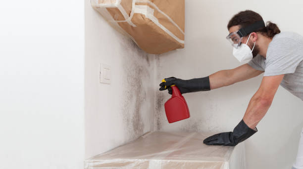 Professional Mold Testing technician working in Woodstock, IL