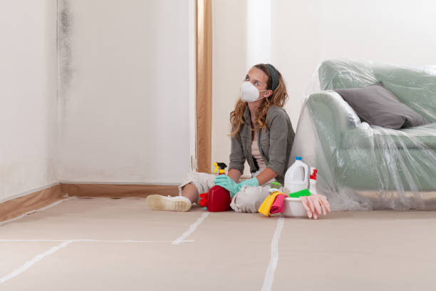 Reliable Mold Testing contractor in Woodstock, IL by WQB Mold Removal